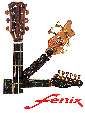 Zu FENIX Gitarren